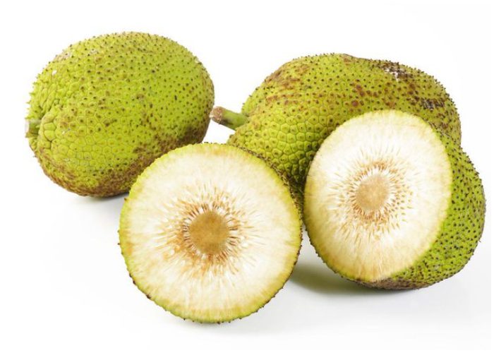 La Fruta del Pan.
