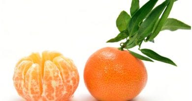 La mandarina es un fruto de origen asiático, abundante actualmente en las zonas tropicales de América.