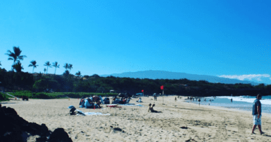 Las 25 mejores playas en Estados Unidos para darse un chapuzón