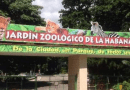 Detectan gripe aviar en Zoológico de La Habana