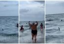tiburon playa Miami Beach